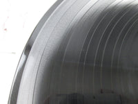 Load image into Gallery viewer, Kentaro Haneda Orguss Animage ANL-1009 with OBI Japan VINYL LP
