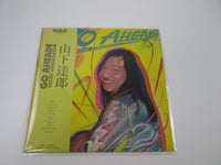 Load image into Gallery viewer, Tatsuro Yamashita Go Ahead RCA RVL-8037 with OBI Japan Vinyl LP
