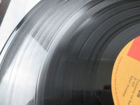 Load image into Gallery viewer, Mr. Big Photographic Smile EMS-80710 with OBI Japan VINYL LP
