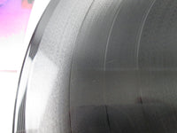 Load image into Gallery viewer, DEEP PURPLE BURN WARNER P-8419W with OBI Japan VINYL LP
