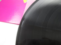 Load image into Gallery viewer, Tatsuro Yamashita From Niagara AX-7263-E with OBI Japan VINYL  LP
