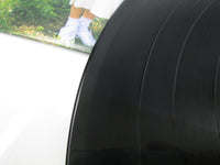 Load image into Gallery viewer, TAEKO OHNUKI SLICE OF LIFE MIL-1031 with OBI Japan LP Vinyl
