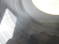 Load image into Gallery viewer, OST(BRUCE LEE) WAY OF DRAGON TAM YX-7011 With OBI Japan VINYL  LP
