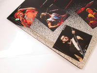 Load image into Gallery viewer, STYX CAUGHT IN THE ACT LIVE A&amp;M AMP-8011,2 with OBI Japan VINYL LP
