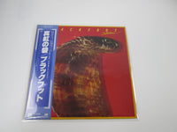 Load image into Gallery viewer, Blackfoot Strikes Atlantic P-10665A with OBI Japan LP Vinyl
