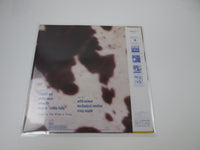 Load image into Gallery viewer, VANITY WILD ANIMAL MOTOWN VIL-6145 with OBI Japan VINYL LP
