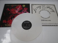 Load image into Gallery viewer, Led Zeppelin White Summer LP Vinyl
