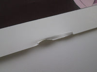 Load image into Gallery viewer, Bubblegum Crisis II OST LB25-5052 with OBI Poster Japan VINYL LP
