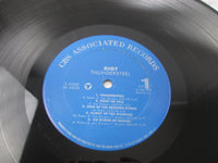 Load image into Gallery viewer, Riot Thunder Steel Z 44232 LP Vinyl
