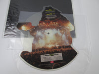 Load image into Gallery viewer, Iron Maiden Fear Of The Dark Live Picture Disc EMPD 263 LP Vinyl

