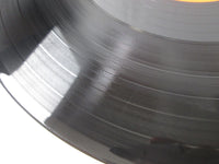 Load image into Gallery viewer, Doji Morita Mother Sky MR3030  with OBI Japan LP Vinyl
