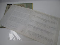 Load image into Gallery viewer, PETER MURPHY LOVE HYSTERIA YX-7444 with OBI Japan LP Vinyl
