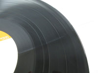 Load image into Gallery viewer, BOB DYLAN TIMES THEY ARE A-CHANGIN CBS/SONY 25AP 270 with OBI Japan LP Vinyl
