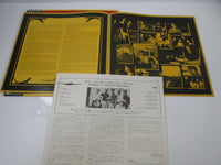 Load image into Gallery viewer, GOANNA SPIRIT OF PLACE WEA P-11364 with OBI Japan LP Vinyl
