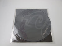 Load image into Gallery viewer, Metallica Sad But True Picture Disc 864945-1 LP Vinyl
