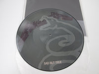 Load image into Gallery viewer, Metallica Sad But True Picture Disc 864945-1 LP Vinyl
