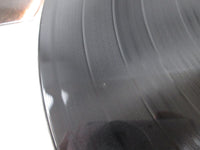 Load image into Gallery viewer, Akina Nakamori Prologue L-12531 with OBI Japan LP Vinyl
