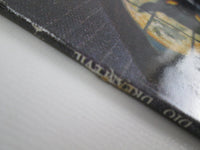 Load image into Gallery viewer, DIO DREAM EVIL 832 530-1 Japan LP Vinyl Holland
