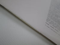 Load image into Gallery viewer, DIO DREAM EVIL 832 530-1 Japan LP Vinyl Holland
