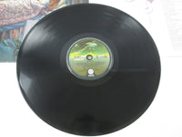 Load image into Gallery viewer, DIO DREAM EVIL 832 530-1 Japan LP Vinyl Holland
