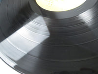 Load image into Gallery viewer, Anri Heaven Beach ForLife 28K-43 with OBI Japan LP Vinyl
