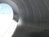 Load image into Gallery viewer, Anri Heaven Beach ForLife 28K-43 with OBI Japan LP Vinyl
