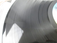 Load image into Gallery viewer, Anri Heaven Beach ForLife 28K-43 with OBI Japan LP Vinyl
