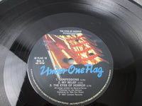 Load image into Gallery viewer, Possessed The Eyes Of Horror MFLAG 16 LP Vinyl
