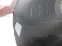 Load image into Gallery viewer, W.A.S.P. ST-12343 LP Vinyl
