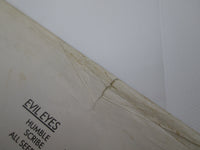 Load image into Gallery viewer, BLIND FURY OUT OF REACH FEMS SP25-5213 with OBI Japan LP Vinyl
