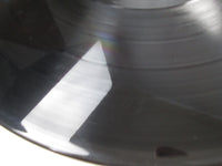 Load image into Gallery viewer, LYNYRD SKYNYRD ONE MORE FROM THE ROAD MCA VIM-9501,2 with OBI Japan LP Vinyl
