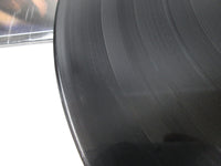 Load image into Gallery viewer, Anthrax Spreading The Disease Island 90480-1 LP Vinyl
