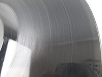 Load image into Gallery viewer, Anthrax Spreading The Disease Island 90480-1 LP Vinyl
