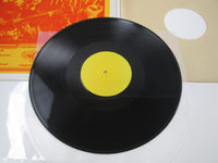 Load image into Gallery viewer, Kiss Destroys Anaheim VINYL LP
