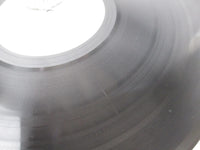 Load image into Gallery viewer, MIKE OLDFIELD TUBULAR BELLS VIRGIN VIP-4146 with OBI Japan LP Vinyl
