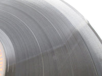 Load image into Gallery viewer, Blue Oyster Cult Secret Treaties AL 32858 LP Vinyl
