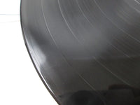 Load image into Gallery viewer, Blue Oyster Cult PC 31063 LP Vinyl
