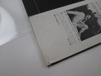 Load image into Gallery viewer, ANDREW GOLD ALL THIS &amp; HEAVEN, TOO ASYLUM P-10469Y with OBI Japan LP Vinyl
