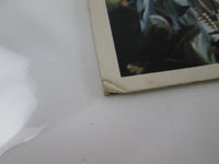 Load image into Gallery viewer, Sutherland Brothers Quiver ‎Beat Of The Street Promo ILS-80093 with OBI LP Vinyl
