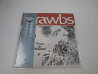 Load image into Gallery viewer, Strawbs From The Witchwood C19Y 4009 with OBI Japan LP Vinyl
