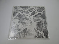 Load image into Gallery viewer, Strawbs From The Witchwood C19Y 4009 with OBI Japan LP Vinyl
