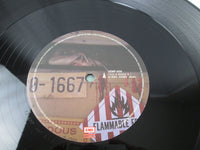 Load image into Gallery viewer, Iron Maiden Virus 12 EMP 443 B LP Vinyl
