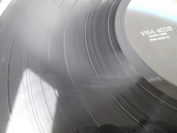 Load image into Gallery viewer, JOE WALSH VERY BEST OF MCA VIM-4028 with OBI Japan LP Vinyl
