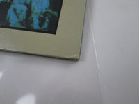 Load image into Gallery viewer, Duane Allman An Anthology SJET 9571,2 with OBI Japan LP Vinyl
