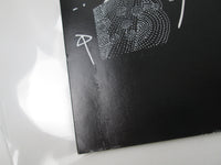 Load image into Gallery viewer, Peter Himmelman Gematria R28D-2109 Promo with OBI Japan LP Vinyl

