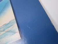 Load image into Gallery viewer, Dire Straits Communique Warner Brothers HS 3330 LP Vinyl
