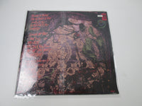 Load image into Gallery viewer, Princess Pang C1-92584 LP Vinyl Shrink
