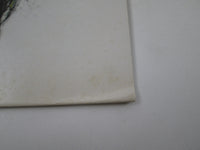 Load image into Gallery viewer, TOMMY BOLIN TEASER ATLANTIC P-10076A with OBI Japan LP Vinyl
