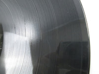 Load image into Gallery viewer, EIICHI OHTAKI EACH TIME NIAGARA 28AH 1555  with Hype Japan LP Vinyl
