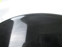 Load image into Gallery viewer, EIICHI OHTAKI EACH TIME NIAGARA 28AH 1555  with Hype Japan LP Vinyl
